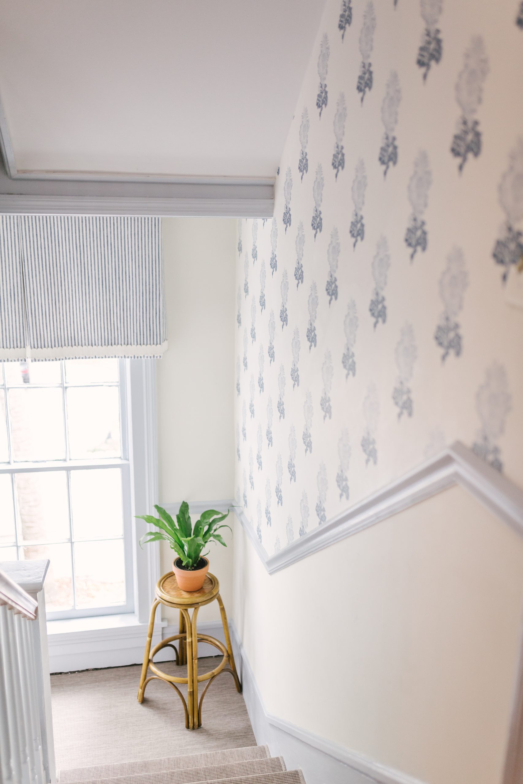 the-history-of-the-2020-charleston-symphony-orchestra-league-designer